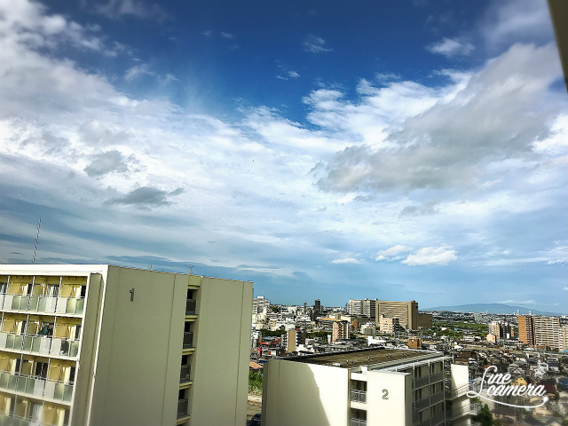 20180903_234259095_iOS