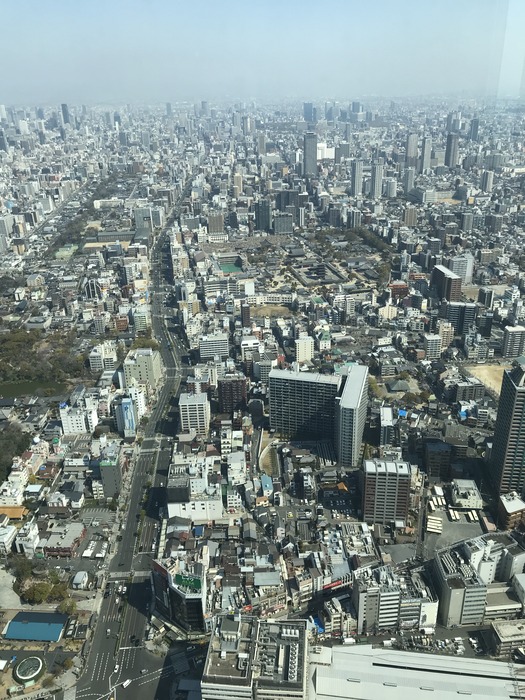 20190404_010040776_iOS