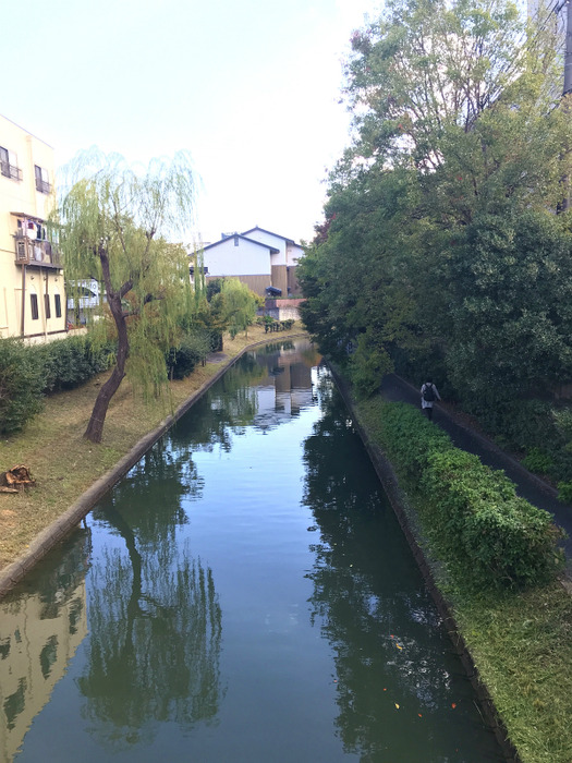 20181030_010724282_iOS