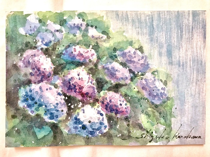 葉書de一日一枚 入院最後は「雨降り紫陽花」を描きました。