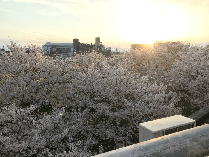 20190409_085913106_iOS