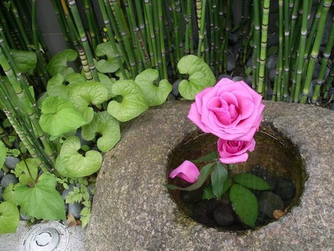 2011-05-31 11-17-17