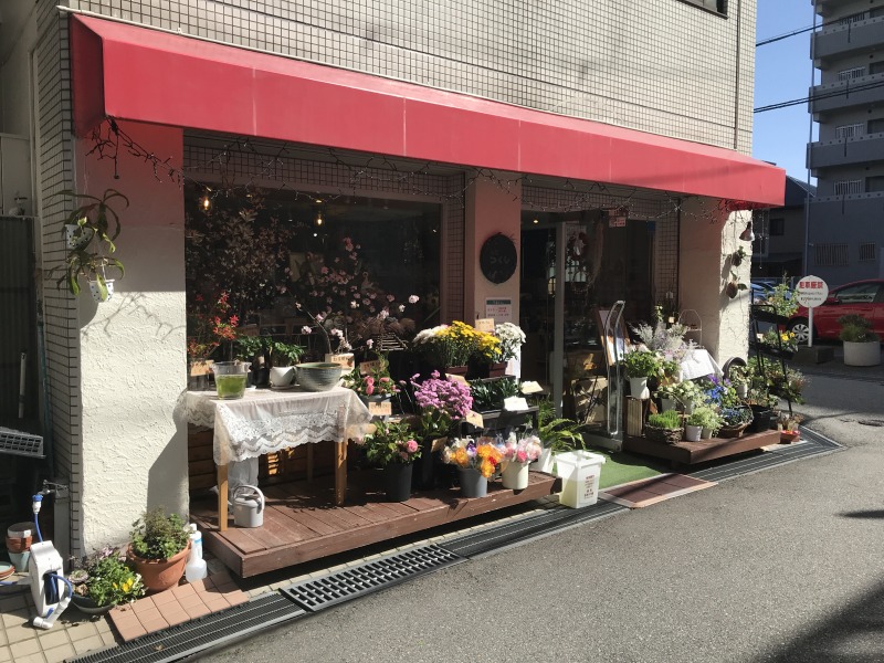 宝塚へドライブ再び　～花屋つくしさんへ～