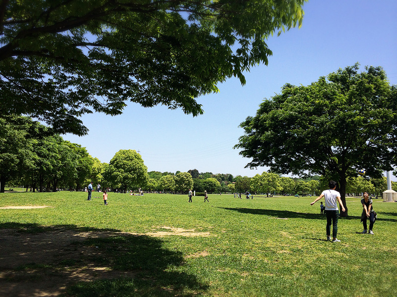 ＧＷ写真特集　鶴見緑地公園の「咲くやこの花館」