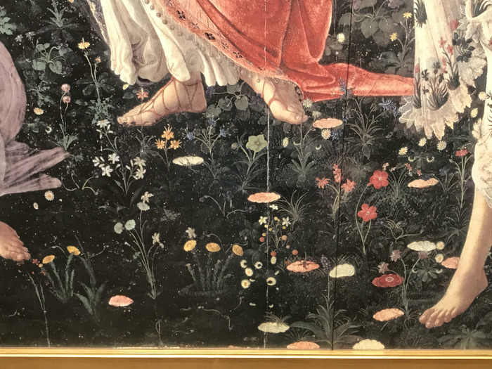 20190517_040652503_iOS