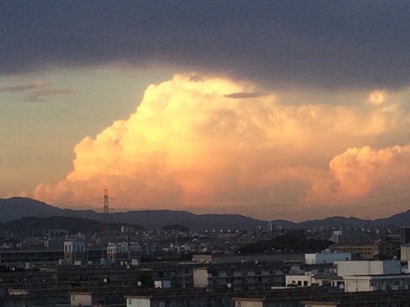 20140731_110841000_iOS