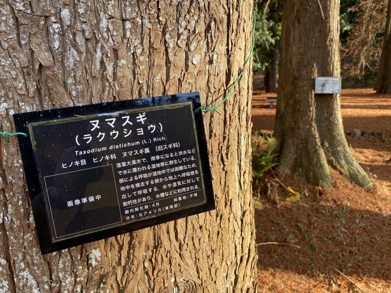 20231217_060349232_iOS