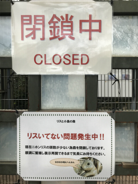 20191128_051155371_iOS