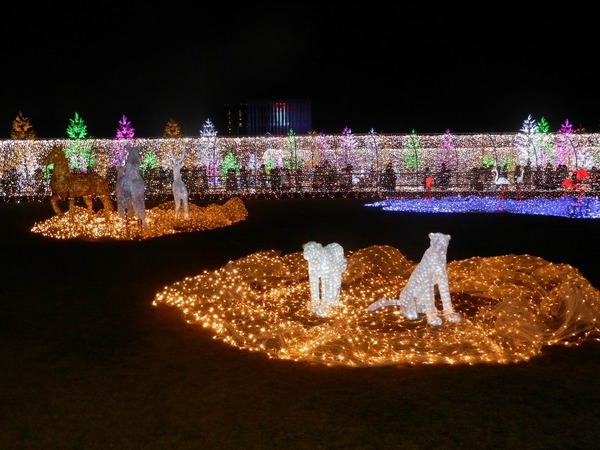 2013-12-17 017