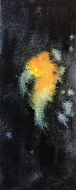2019.12.31線香花火散り菊 (2)