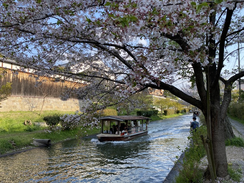 20250411_071343766_iOS