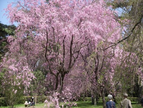 2011-04-12 11-16-25