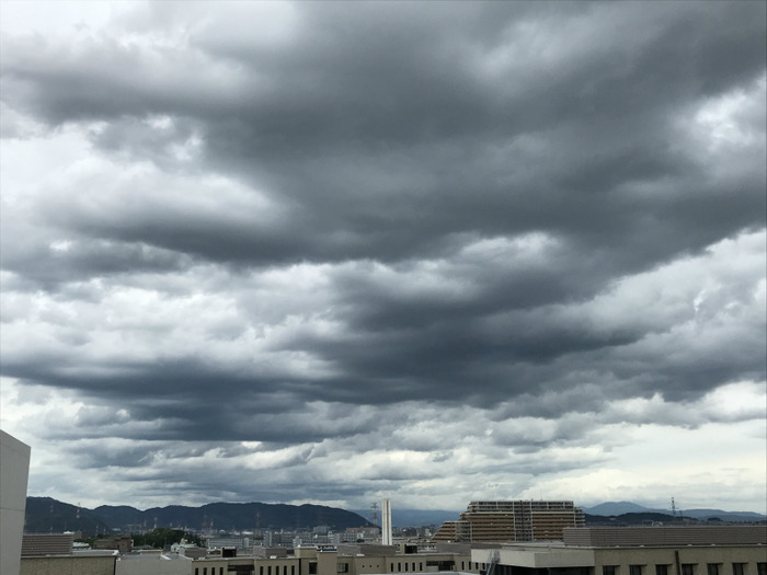 20190721_040529257_iOS