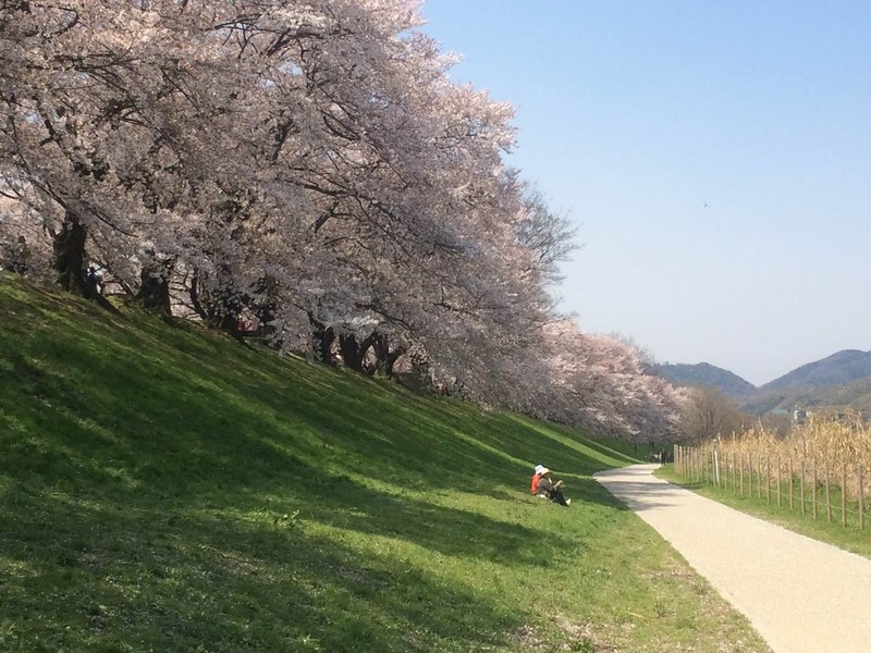 20140407_014407497_iOS