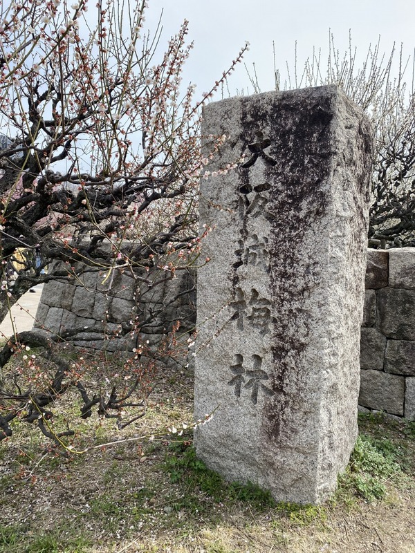 20250314_012540174_iOS