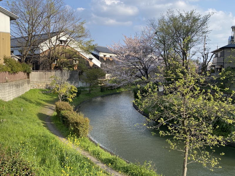 20250411_072018564_iOS