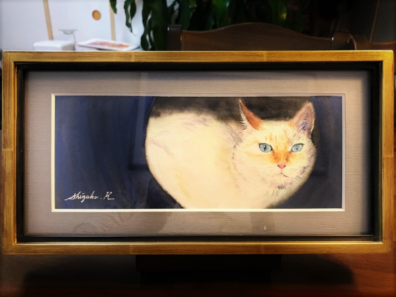 透明水彩画「Cat in hiding」