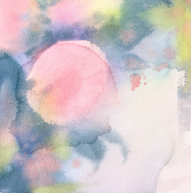 2020.01.26透明水彩画「昨日のこと(八重の椿)」途中 (2)