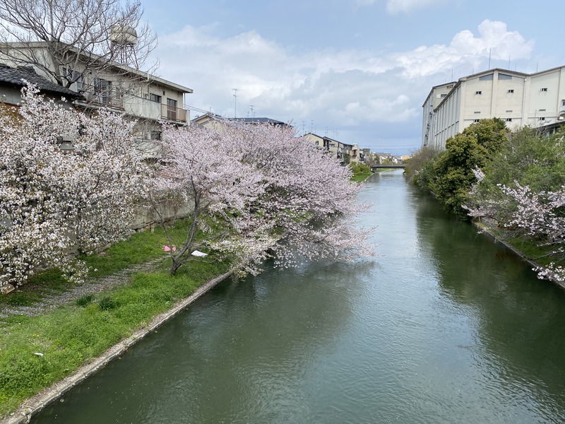 20250411_020452069_iOS