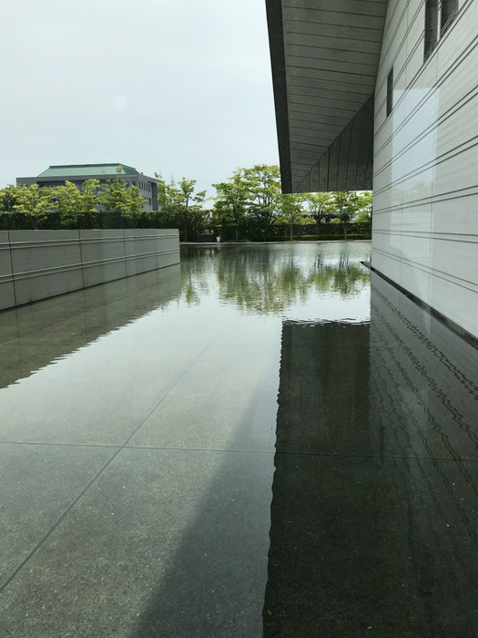 20190510_025231431_iOS