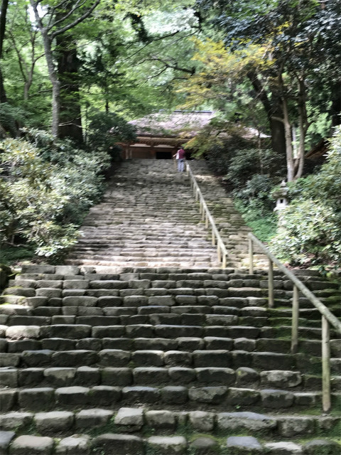 20190822_043338721_iOS