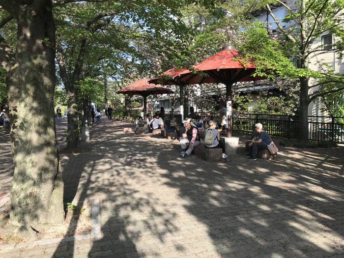 秋に京都・祇園で「第4回黒川しづこ透明水彩画展」を計画中どす(*^-^*)