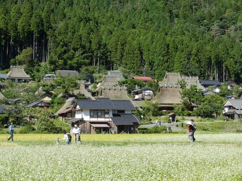 京都府南丹市 ”美山かやぶきの里” へ取材に行きました♪