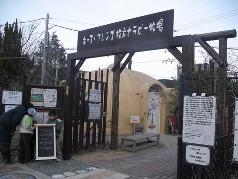 2011-01-23 16-06-50