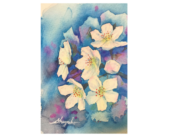2020.01.24透明水彩小品「ソメイヨシノ(夜桜)」2