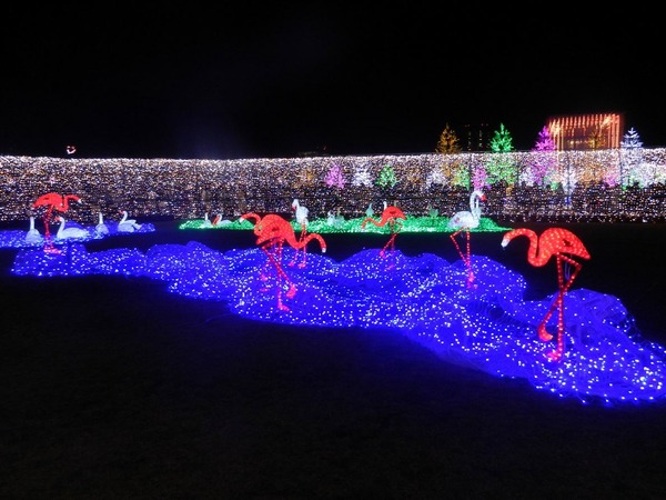 2013-12-17 022