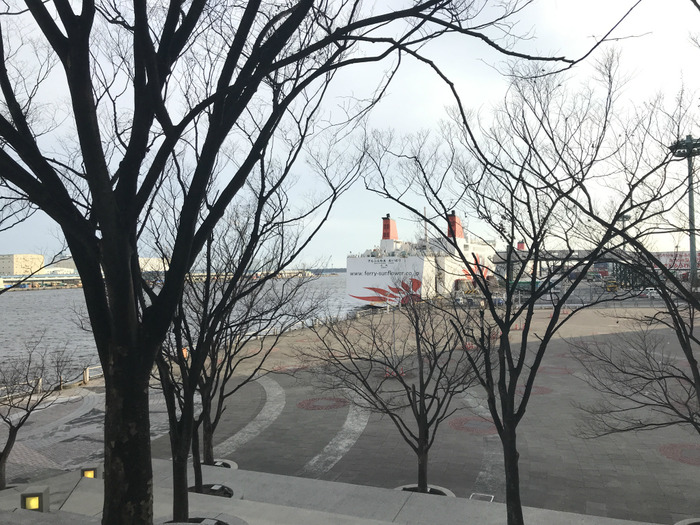 20190405_080406121_iOS