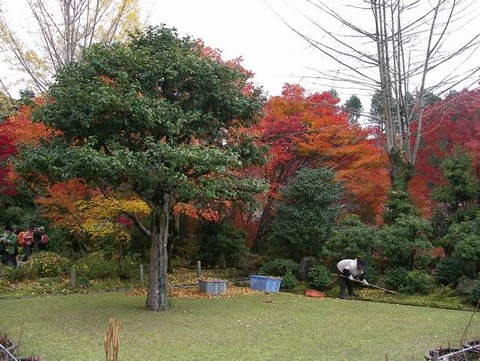 三室戸寺の朝　フォト