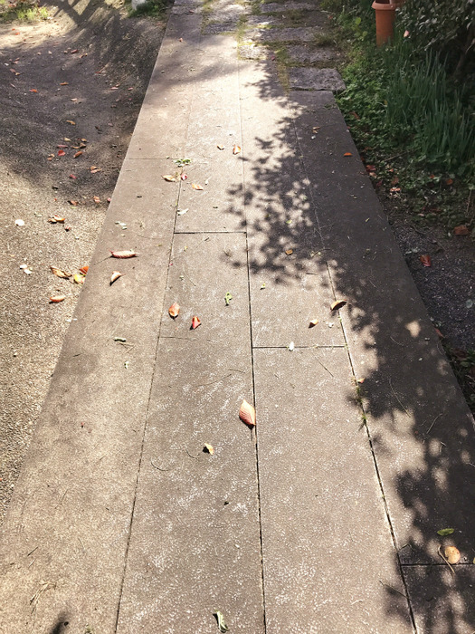 20181030_030057930_iOS