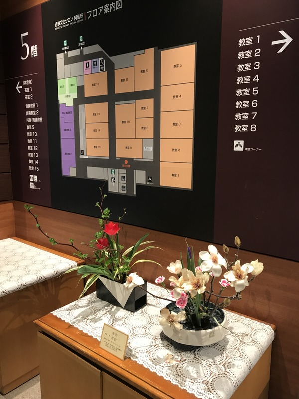 20200212_041517137_iOS