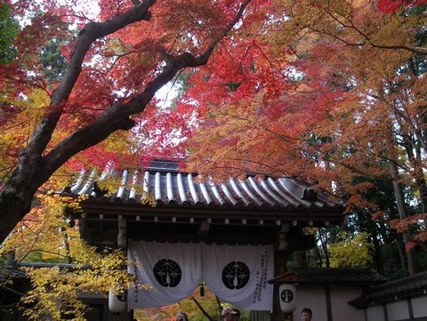 2010-11-26 14-00-55