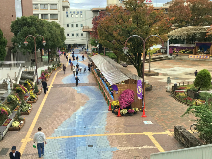 20181109_035528013_iOS