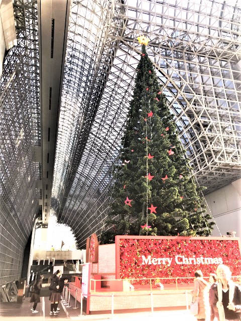 20191220_020528476_iOS