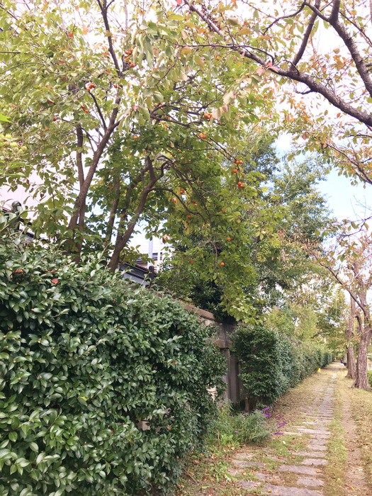 20181030_021331193_iOS