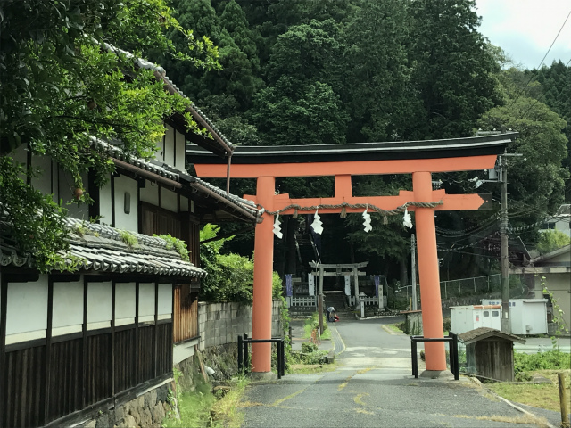 20190821_021417964_iOS