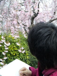 25京都三条歌舞練場前子供写生