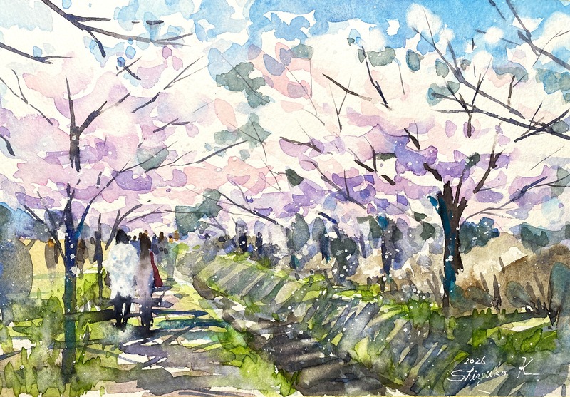 2026.03.18透明水彩ライブ配信課題「哲学の道・桜」ホワイトワトソンF2