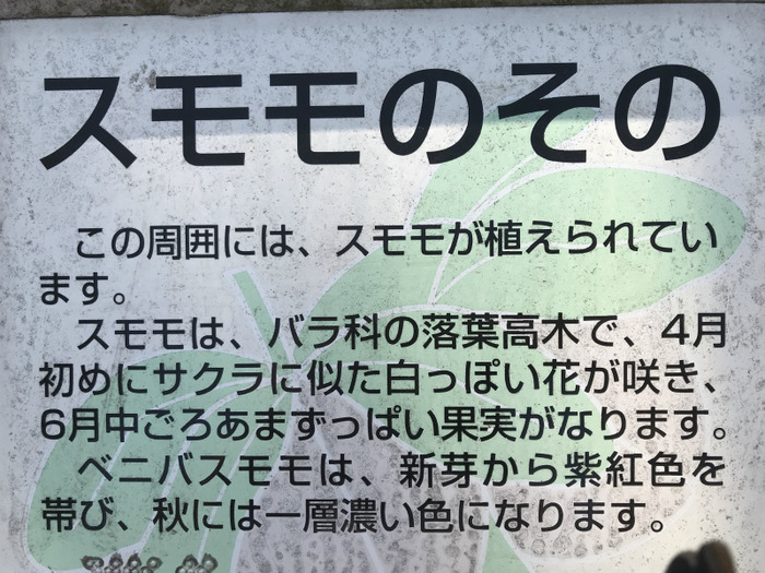 20200318_051452300_iOS