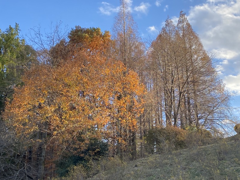 20231217_065051145_iOS