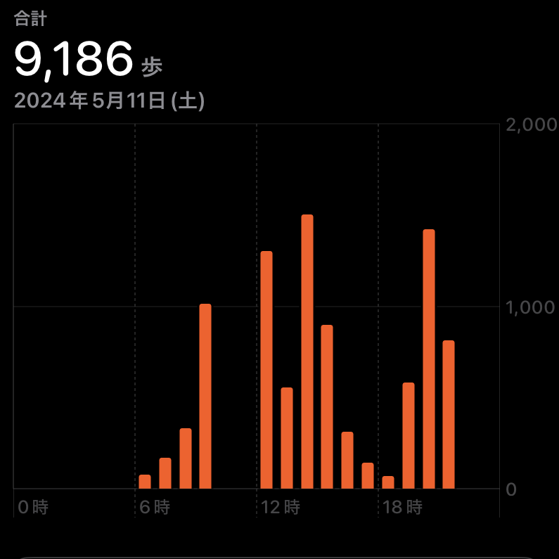 2024.05.11歩数