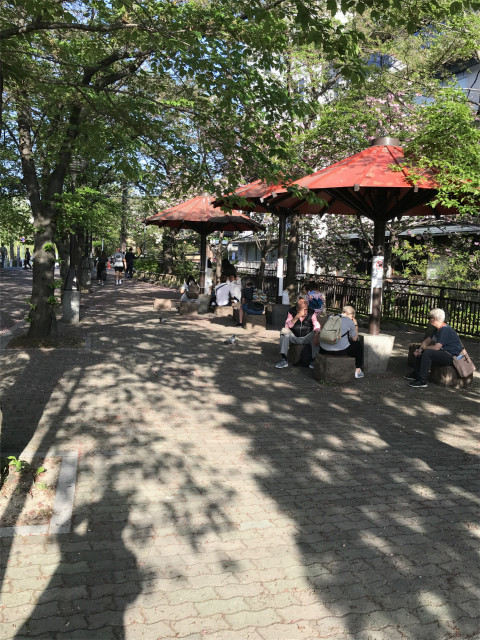 20190422_074852809_iOS