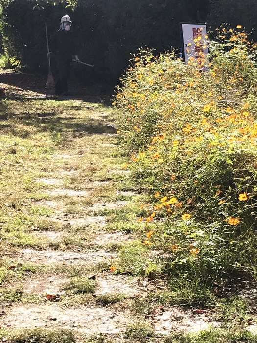 20181030_012233593_iOS