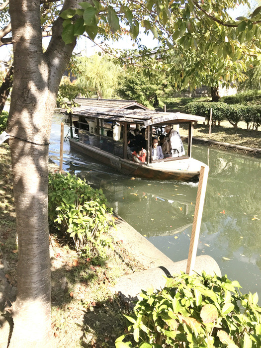 20181030_015015015_iOS