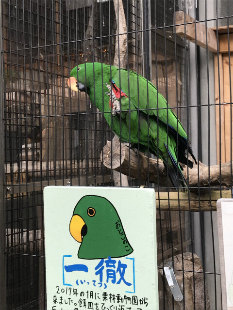20191128_044430329_iOS