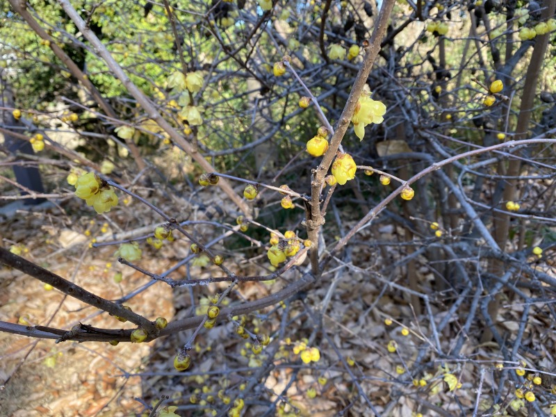 20240117_013050177_iOS