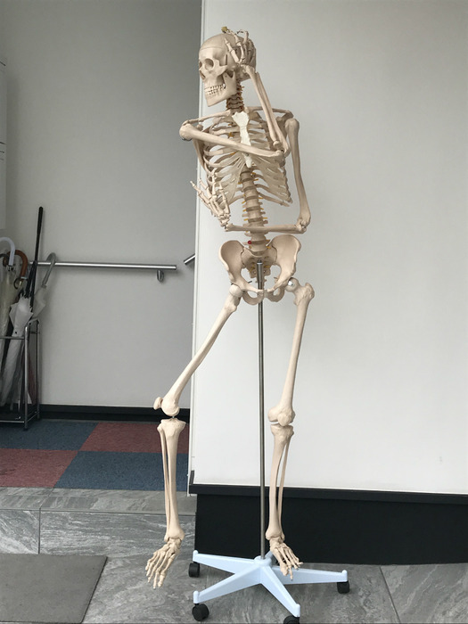 20190514_003821140_iOS